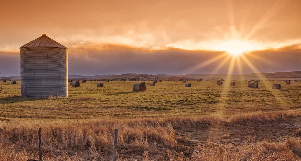 Alberta Livestock Expo takes centre stage Rural Roots Canada