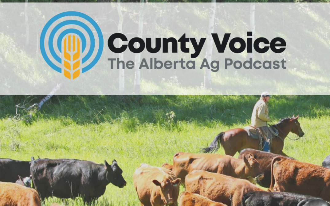 MD of Willow Creek Ep. 1 Noxious Weeds, Farm Equipment for Rent and