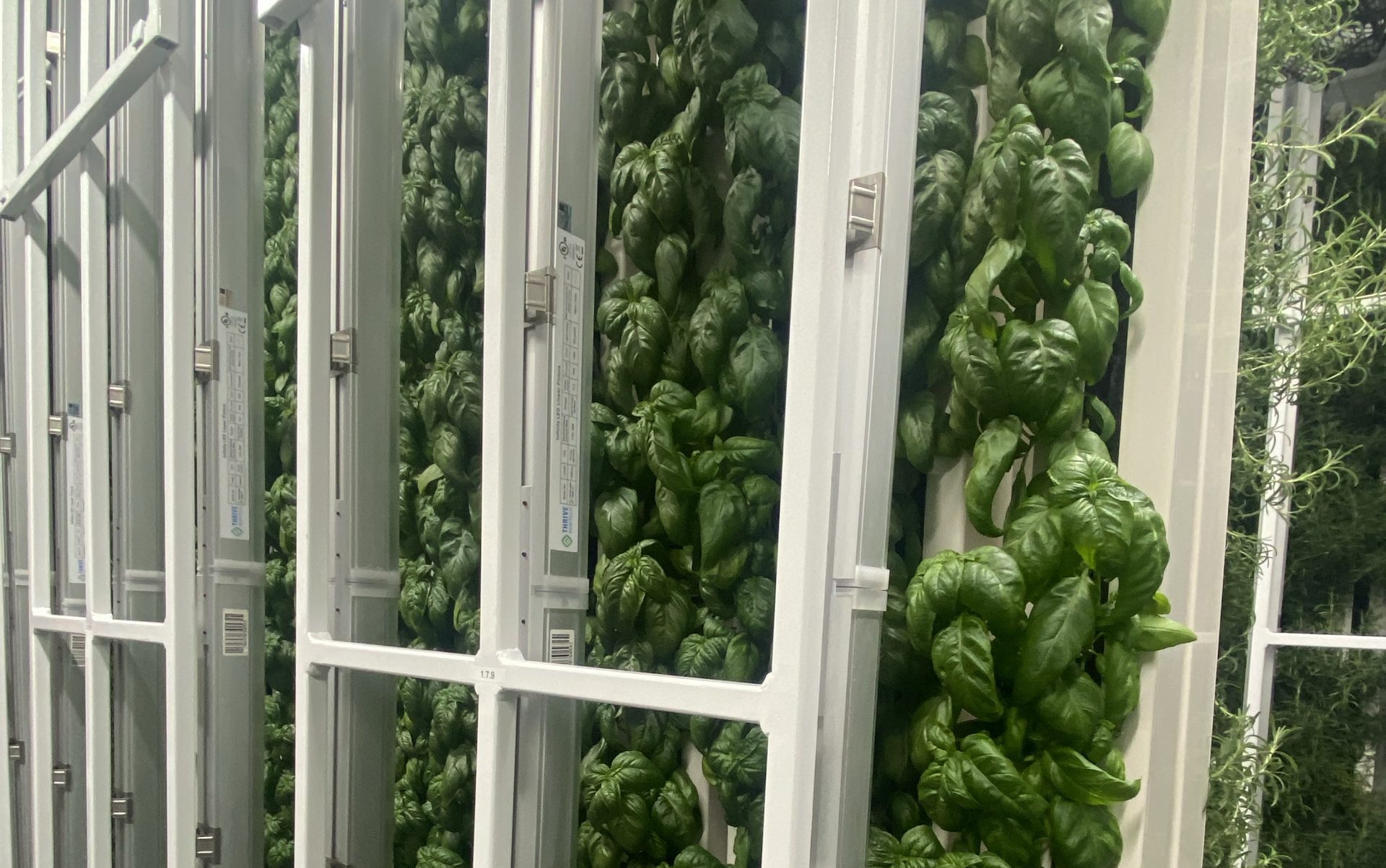 agtech-tuesday-nuleaf-farms-harnessing-hydroponics-to-feed-livestock