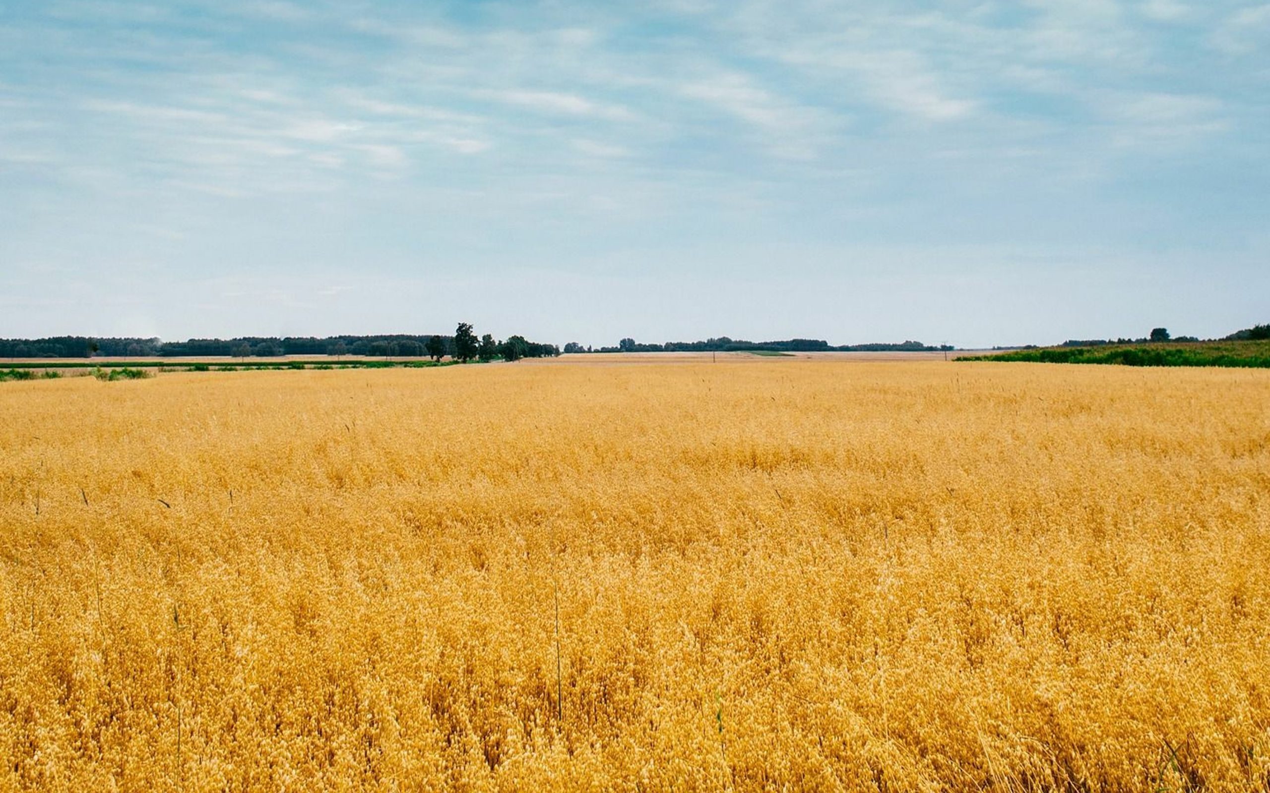 Canadian Farmland Values Continue to Climb, Alberta Sees Boost in ...