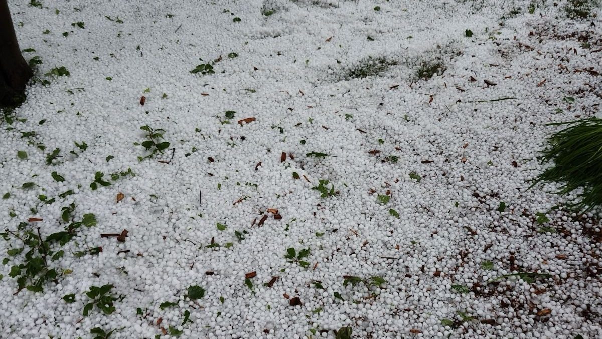 Hail Report: Crop Damage Claims Climb in Wake of Summer Storms | Rural ...