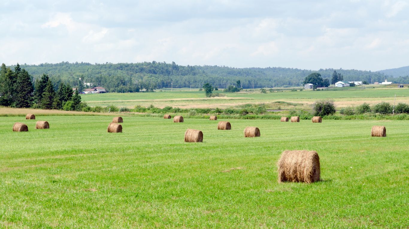 Canadian Farmland Rental Rates Hold Steady Despite Rising Land Values ...